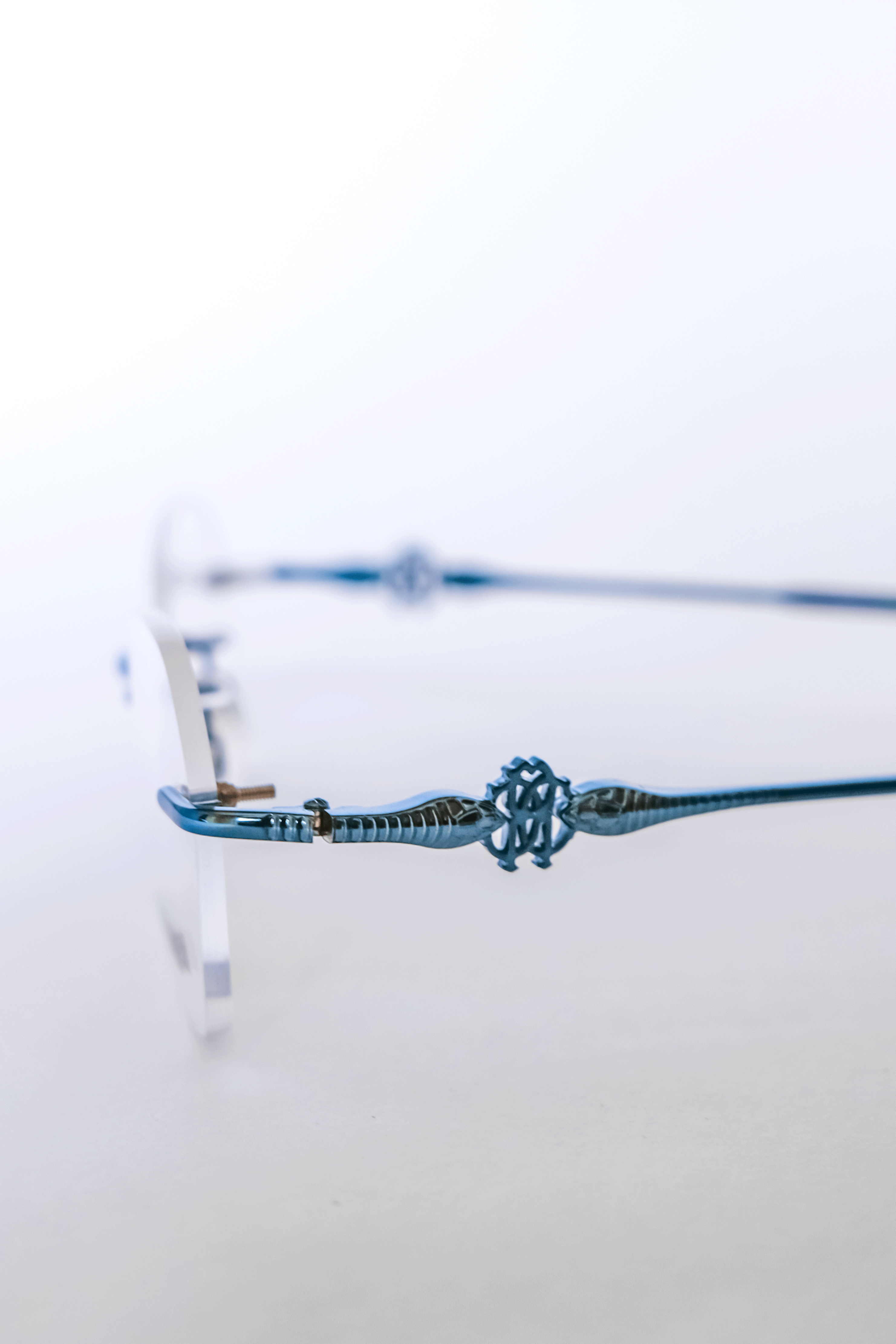Roberto Cavalli Occhiali da Sole Blue Glass dettaglio